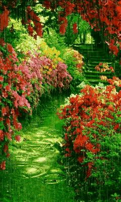 1983年出生的属猪人,41岁后运势会发生什么变化? 1983年出生的属猪人,41岁后运势会发生什么变化?