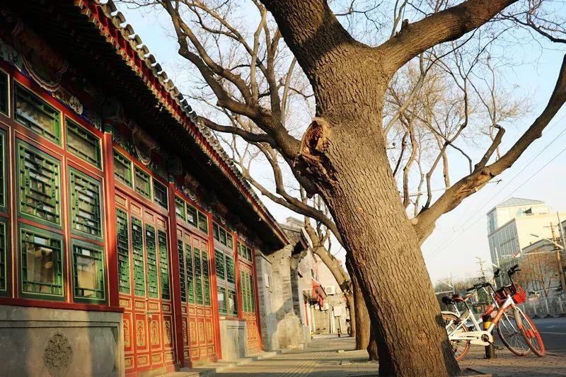 华人论坛之家怎么玩？新手秒变老司机的秘籍在这！