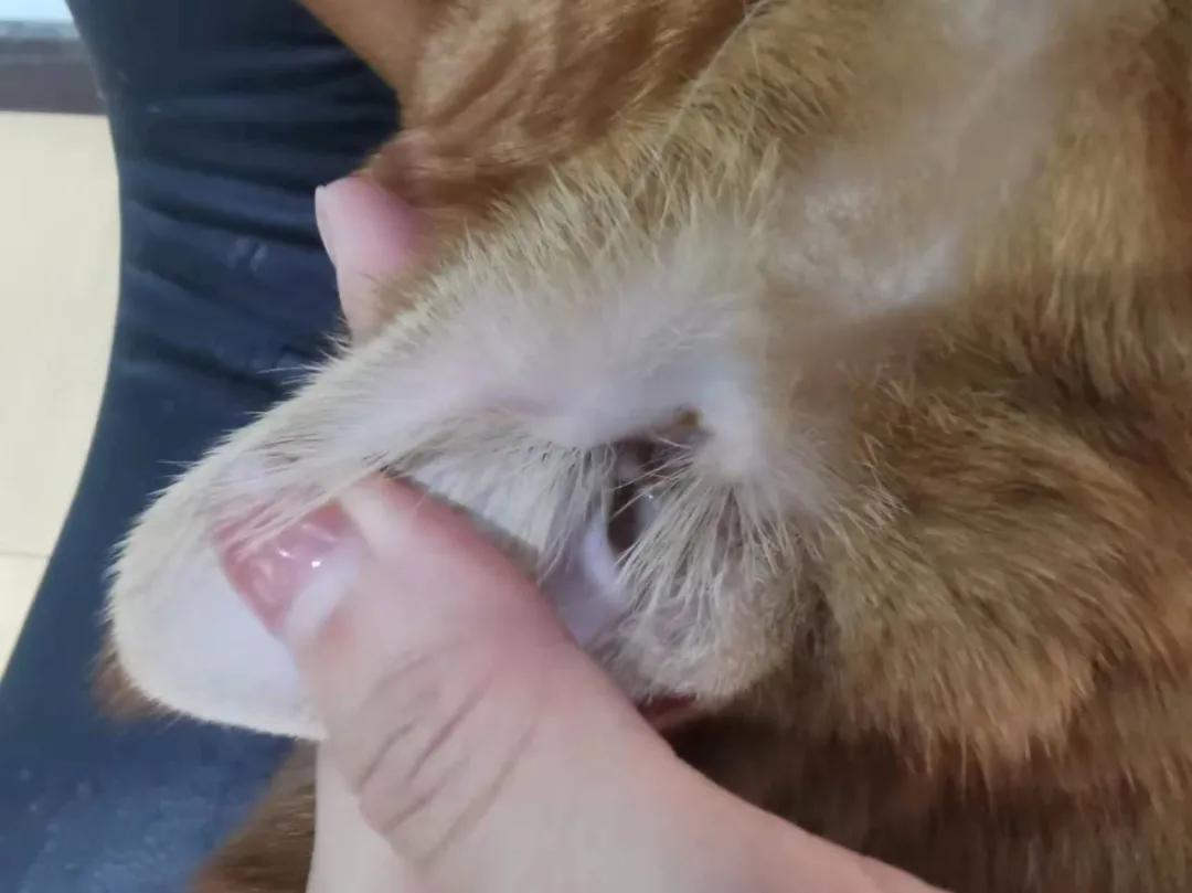 龙隐算命论坛到底怎么玩?新手必看避坑指南 龙隐算命论坛到底怎么玩?新手必看避坑指南