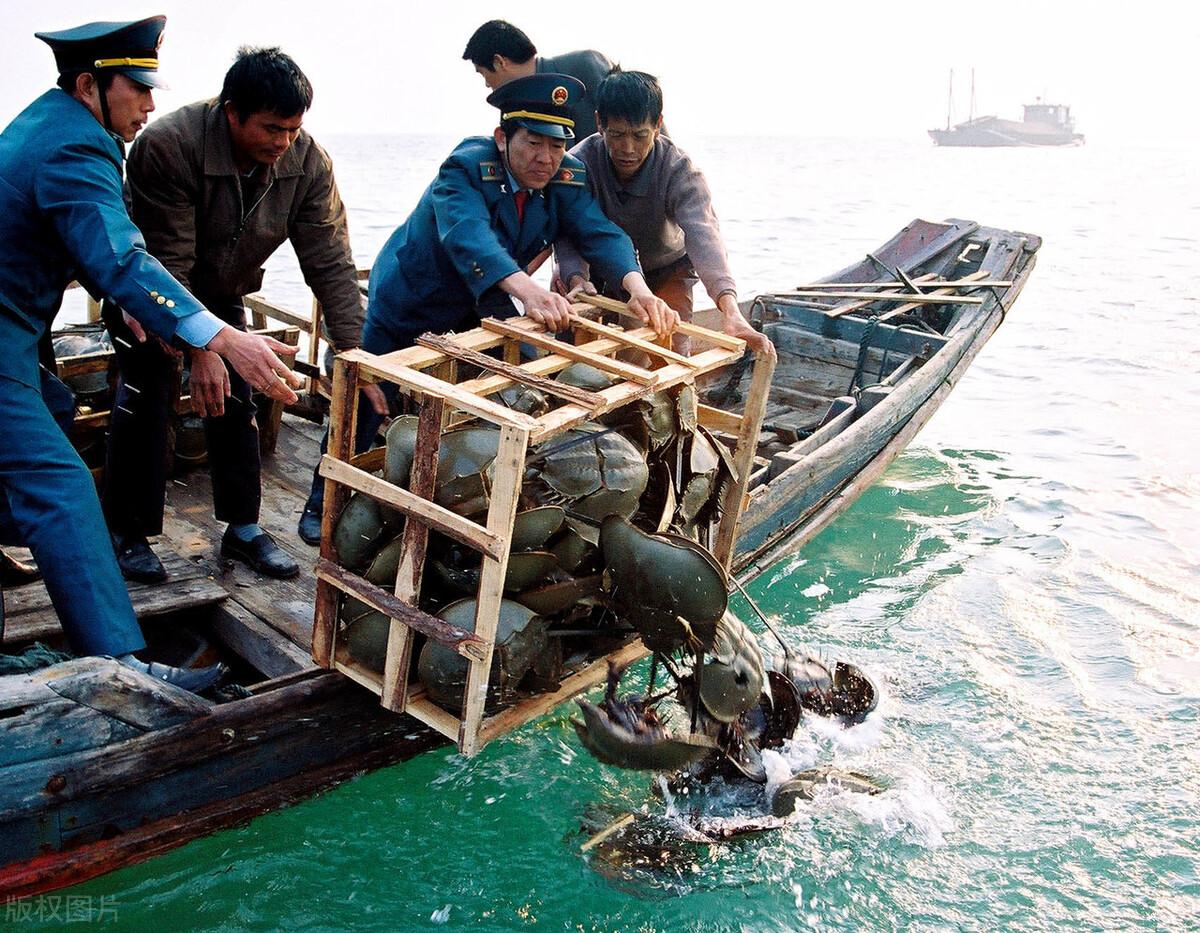 猫咪吃蛋白会不会要了主子半条命? 猫咪吃蛋白会不会要了主子半条命?