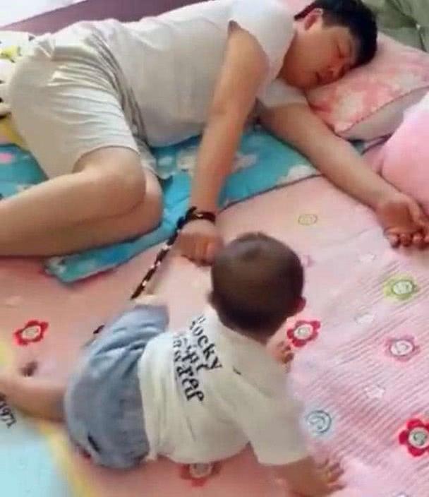 新手铲屎官如何用睡前故事让猫主子秒睡？