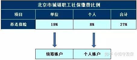 你知道职工养老保险怎么交吗？单位和个人缴费比例、流程一文讲清，超实用！