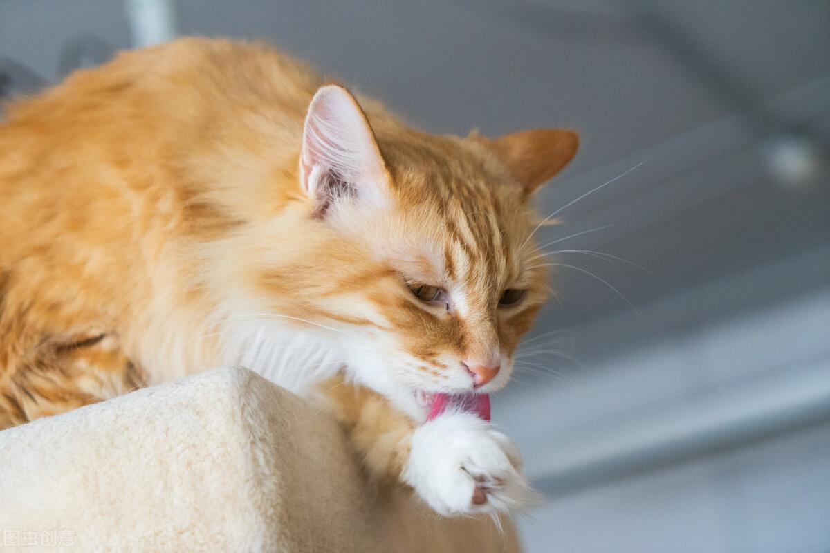 为什么皮克没驾照还能当后防老司机？