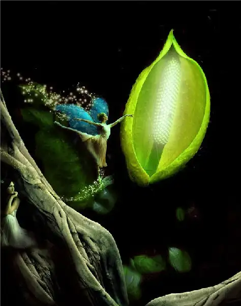 陈鹏研究梦境_梦中梦说明了什么情况_梦中梦是什么