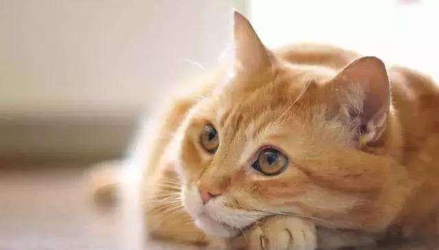 断缴养老保险会怎样？这6个雷区千万别踩！