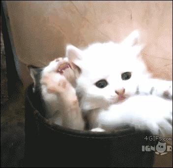 墨甲到底值不值得新手入坑?这游戏到底怎么玩? 墨甲到底值不值得新手入坑?这游戏到底怎么玩?