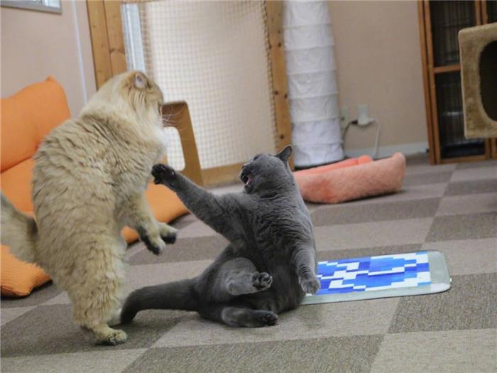 梦见获得赔偿金预示什么？2025年3大维度解析财运与人生转折