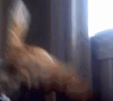 为什么四柱算命能算准你的前半生? 为什么四柱算命能算准你的前半生?