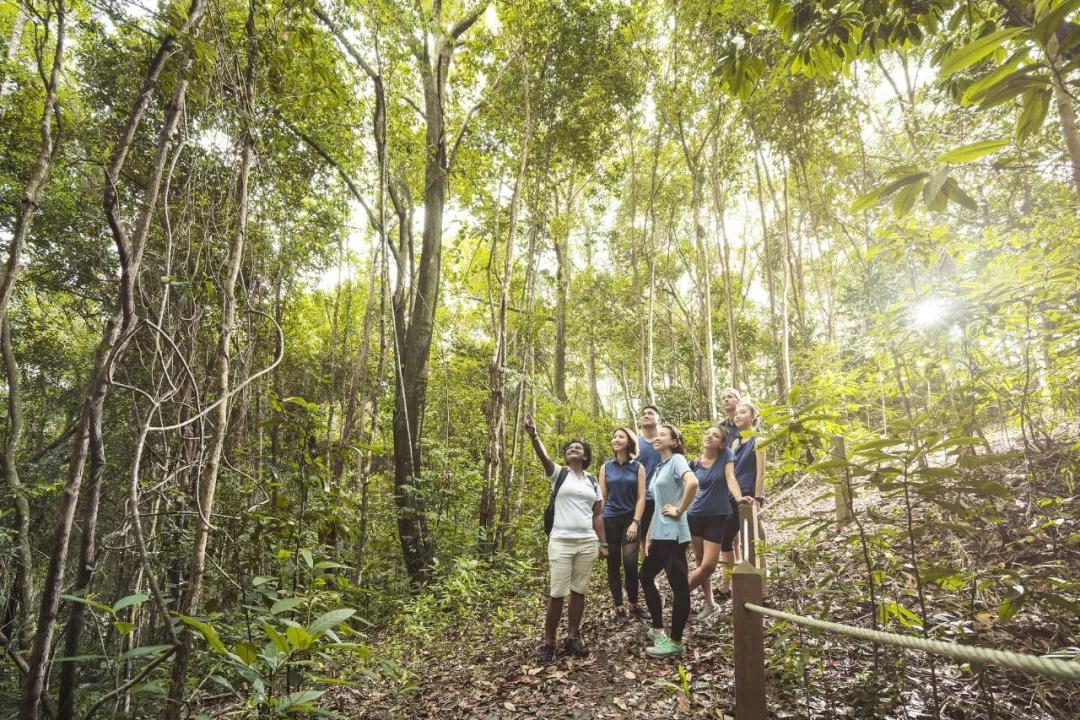 马来西亚华人网上冲浪都去哪？