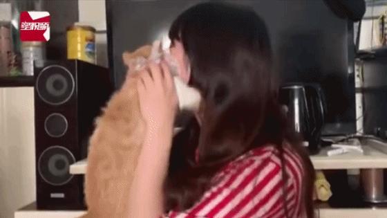 主子天天啃脚丫子?这可能是猫咪得 脚气 了! 主子天天啃脚丫子?这可能是猫咪得 脚气 了!