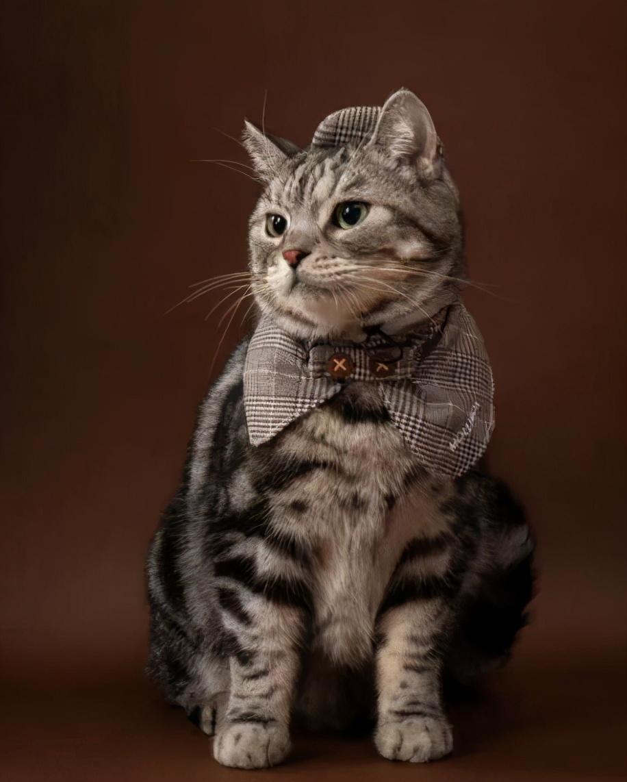 北斗星1.0报价到底贵不贵?新手必看的降本避坑指南 北斗星1.0报价到底贵不贵?新手必看的降本避坑指南