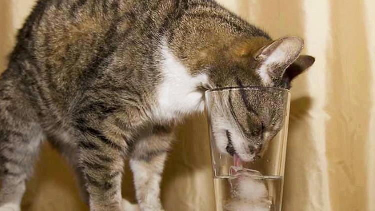 Hisense.playApp无法提现怎么办-网上做单平台被骗充值提现不了如何追回 