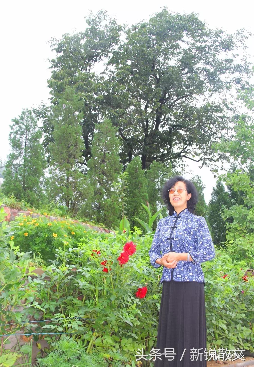 天津一汽4S店选错如何多花冤枉钱?天津买车避坑指南省5000元攻略 天津一汽4S店选错如何多花冤枉钱?天津买车避坑指南省5000元攻略