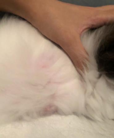 在北美论坛写中国农村小说真的有人看吗? 在北美论坛写中国农村小说真的有人看吗?