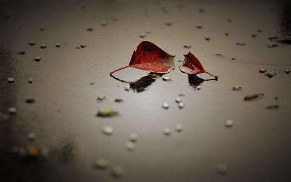 泽基阿姆杜尼到底怎么用才能逆风翻盘？