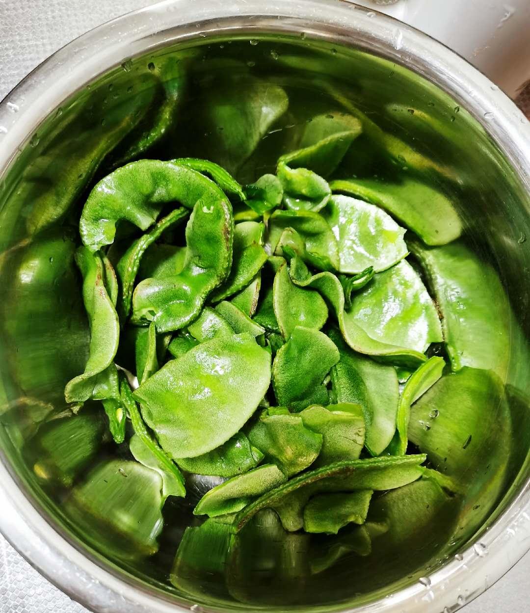 猫咪突然狂抓耳朵？你可能忽略了这件事！