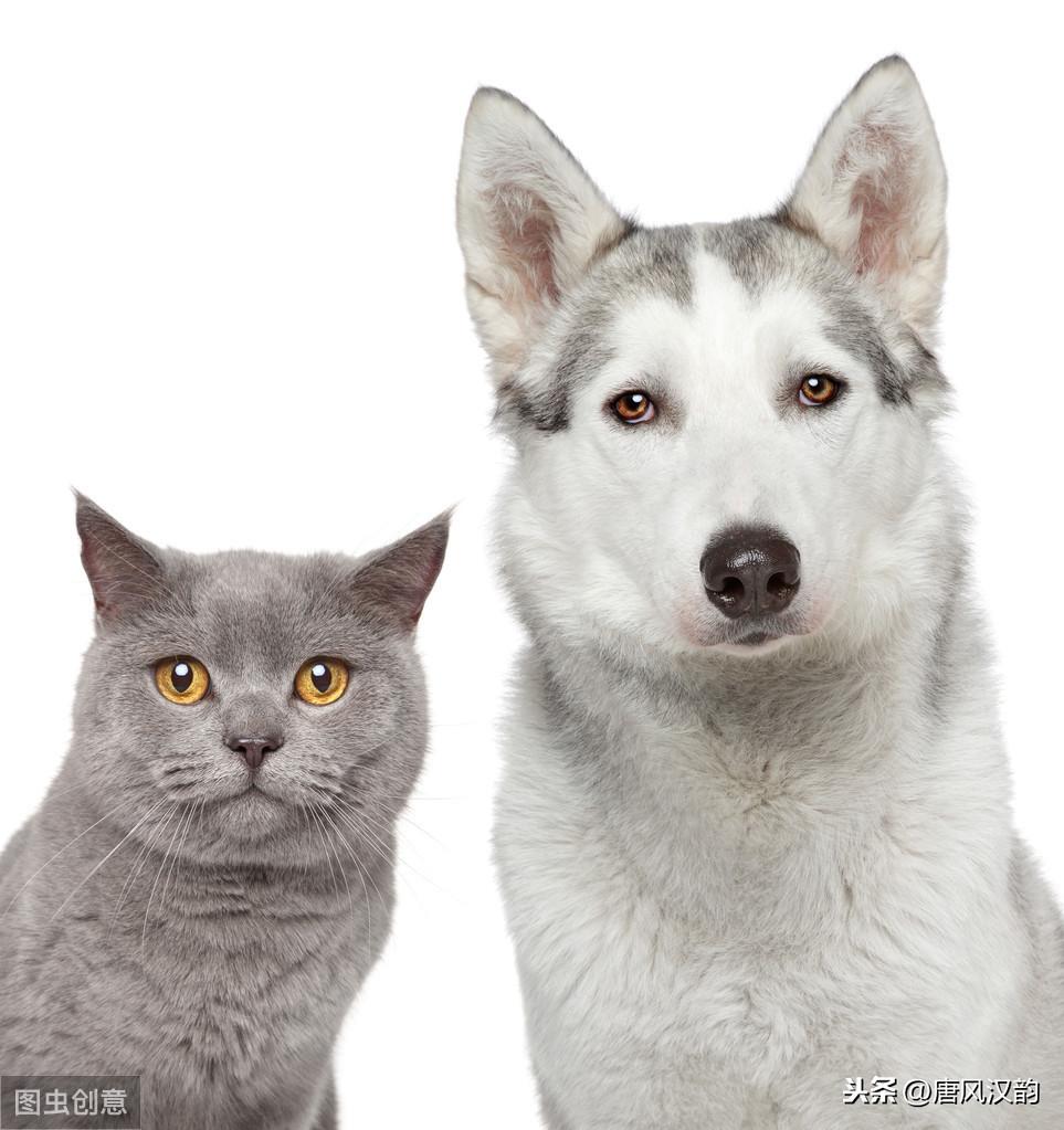 工程投标真的是靠关系就能中的吗？