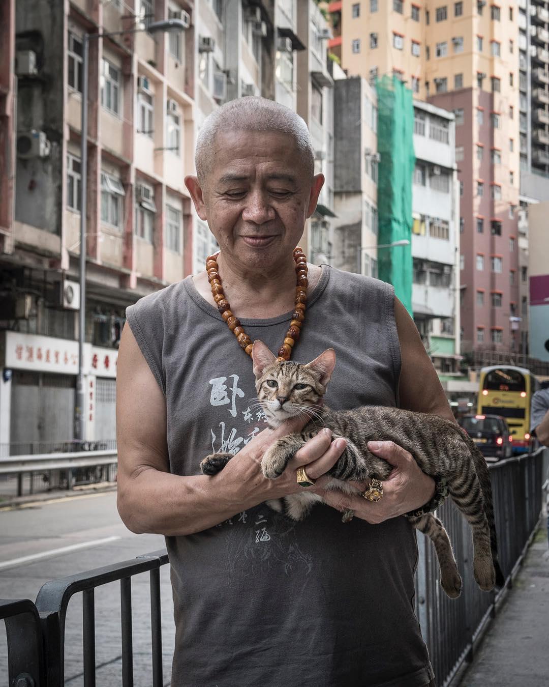 为什么新手总在达尔曼面前翻车？