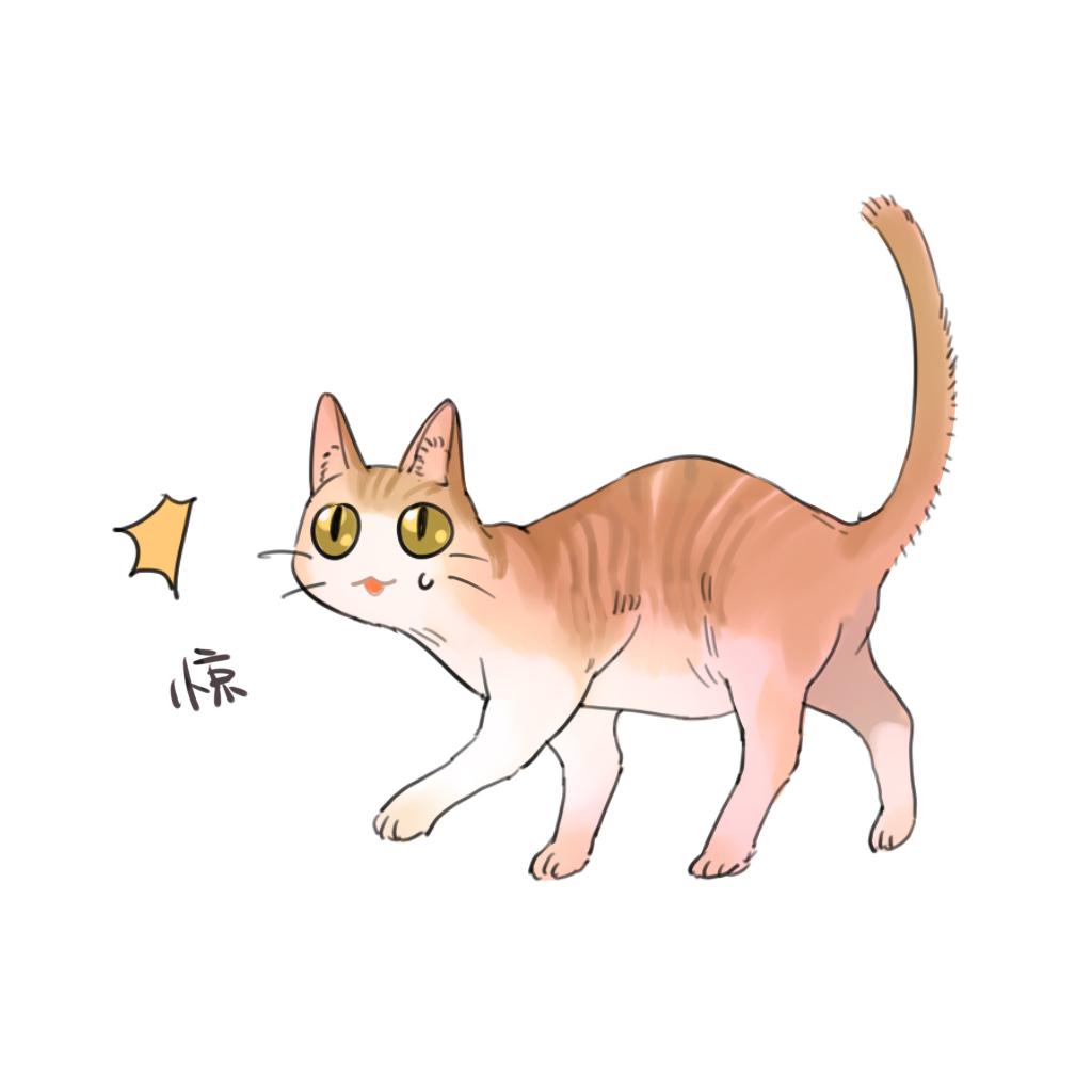 你家猫主子为啥总在你脚边打转？