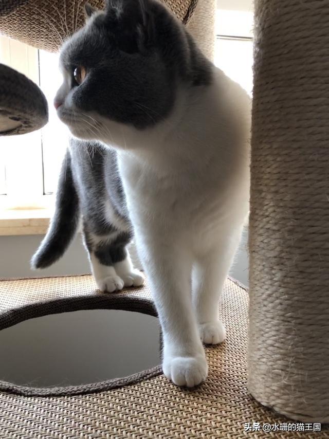 月薪3000真的能买得起v3菱悦幸福版吗？