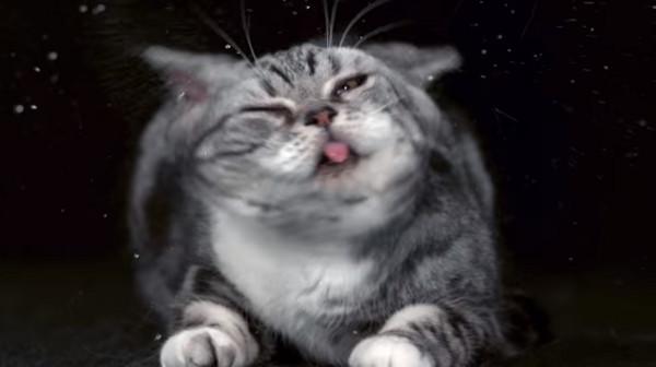 威乐水泵报价为什么相差这么大？