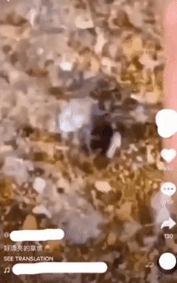 华人论坛新手如何写出让人疯狂点赞的帖子？