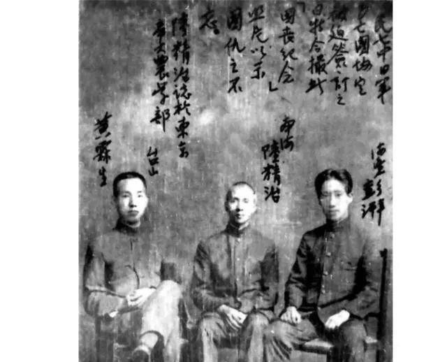 梦见自己当特务？心理学解码隐秘欲望与生存策略