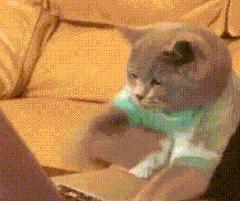 在上海买二手车真的能省下一辆车钱吗? 在上海买二手车真的能省下一辆车钱吗?