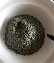 猫咪三天不吃饭真的会把自己饿死吗？