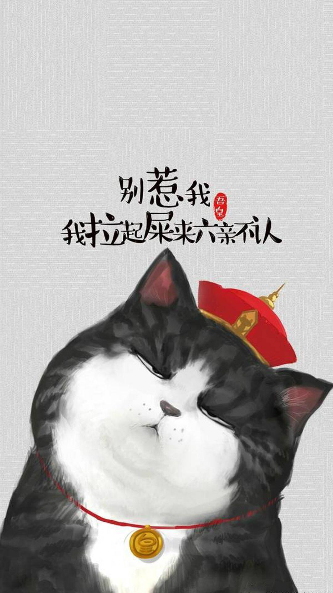 为什么别人家的猫视频总比你拍的更可爱? 为什么别人家的猫视频总比你拍的更可爱?