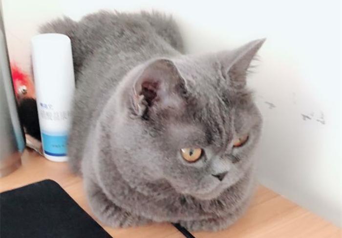 为什么别人的「芜」能横扫战场，你却连技能都放不准？