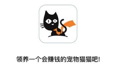 猫咪瞳孔忽大忽小到底在说什么？