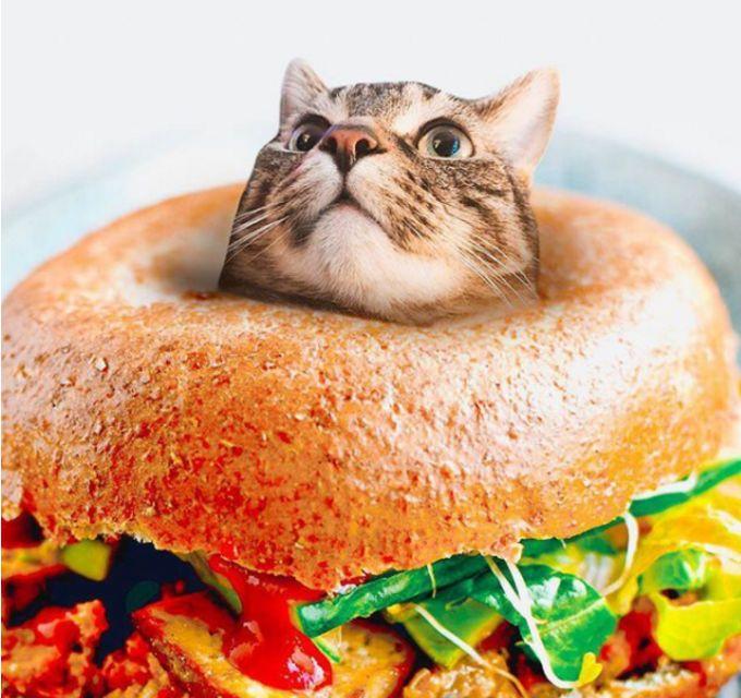 2015年12月10日的手游大更新究竟改变了什么？