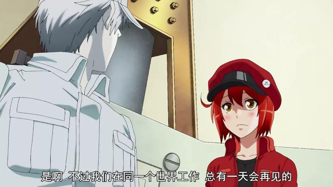 你家猫主子到底是何方神圣？