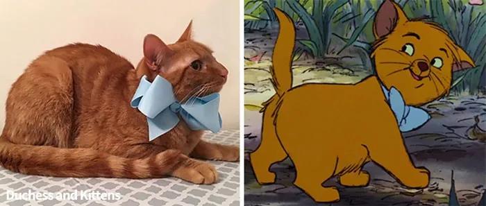 如何写出让人欲罢不能的猫咪历险记作文？