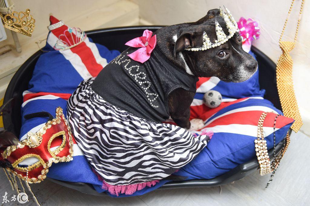 爱迪尔报价解析：如何精准获取产品价格，爱迪尔报价包含哪些隐藏成本？