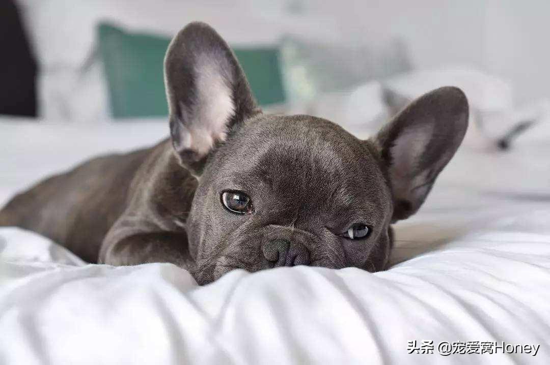 Aspek Penting untuk Mencapai Kesempurnaan di Permainan Baccarat