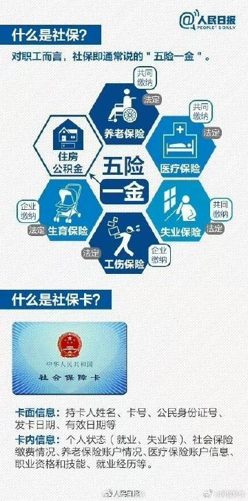 【社会保险基金是什么,包含哪些,和个人有关吗】一次性说清楚,小白也能快速搞懂 【社会保险基金是什么,包含哪些,和个人有关吗】一次性说清楚,小白也能快速搞懂