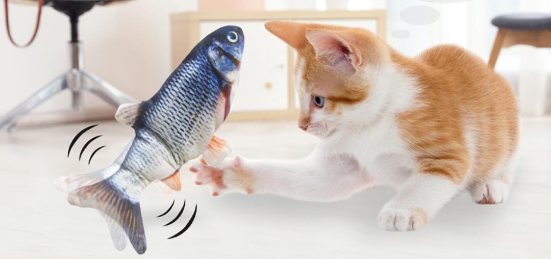 猫咪心跳快得像小马达?这正常吗? 猫咪心跳快得像小马达?这正常吗?