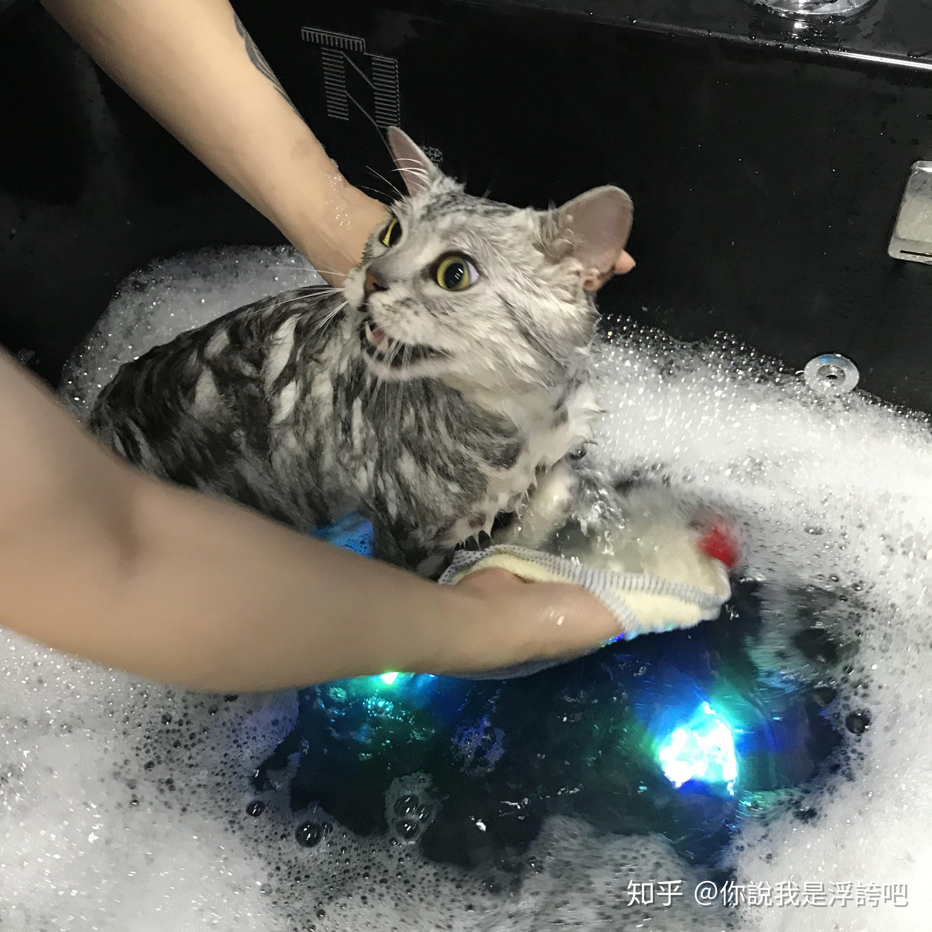 在埃塞俄比亚生活,你还在单打独斗吗? 在埃塞俄比亚生活,你还在单打独斗吗?