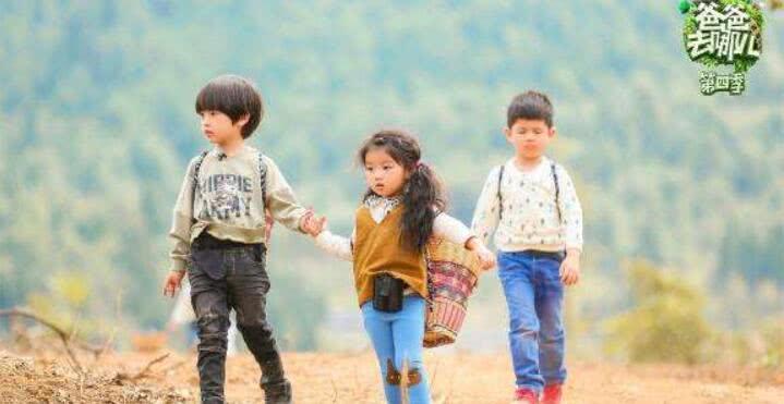 给猫扎小辫会挨揍吗? 给猫扎小辫会挨揍吗?