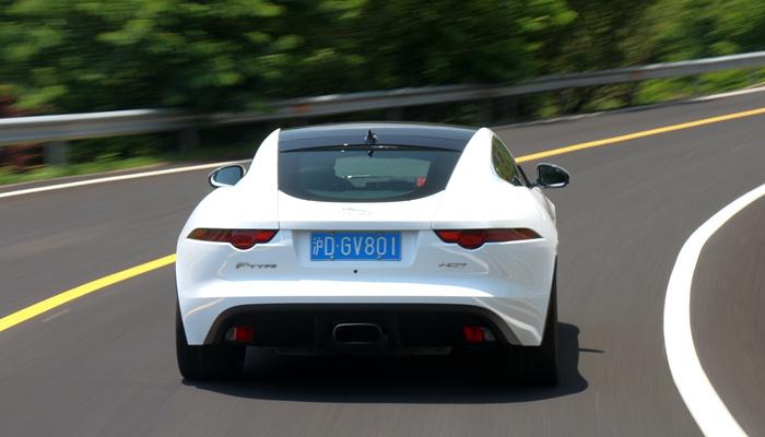 新手连注册按钮都找不到？猫咪官方最新版网站到底怎么玩？