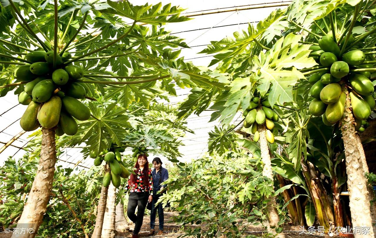 2016年结婚怎么选日子才吉利？