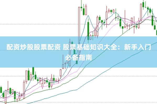 股票基本知识新手入门，新手必看的入门指南，让你快速了解股票基础