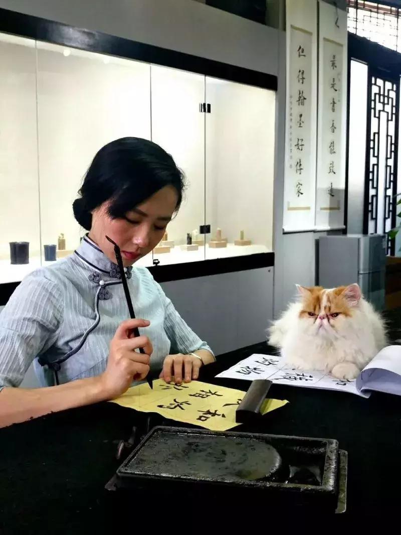 猫咪吐舌头呼吸急促是生病了吗？