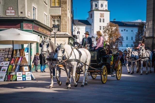 在萨尔茨堡生活不会德语怎么办？