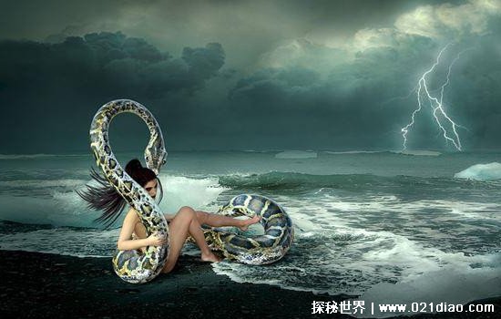 梦里见蛇代表什么预兆?心理学角度带你解读潜意识信号 梦里见蛇代表什么预兆?心理学角度带你解读潜意识信号