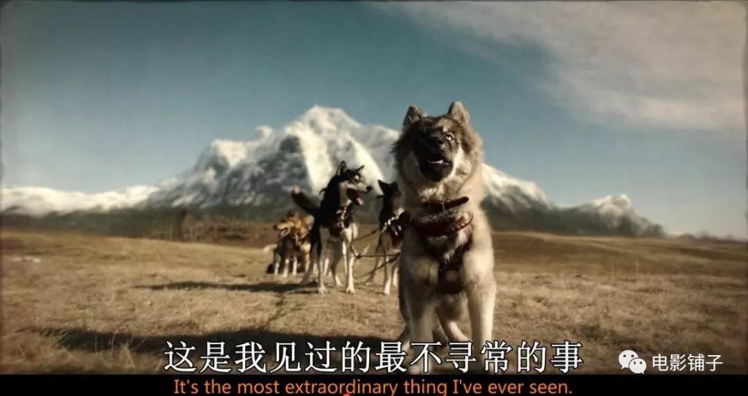 郎征这游戏到底怎么玩才能不坑队友? 郎征这游戏到底怎么玩才能不坑队友?