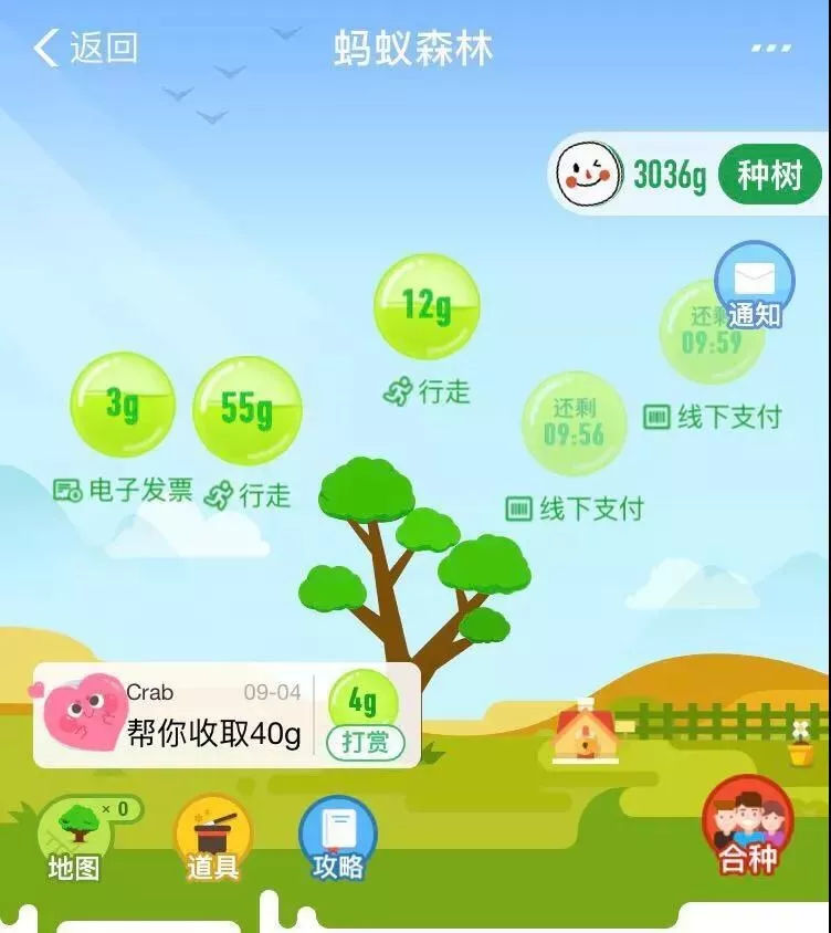 蚂蚁森林6万步能量咋算?详细规则全解析带你明白 蚂蚁森林6万步能量咋算?详细规则全解析带你明白