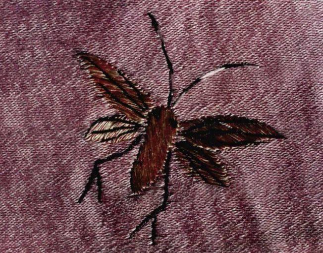 刚注册108华人论坛该怎么混？